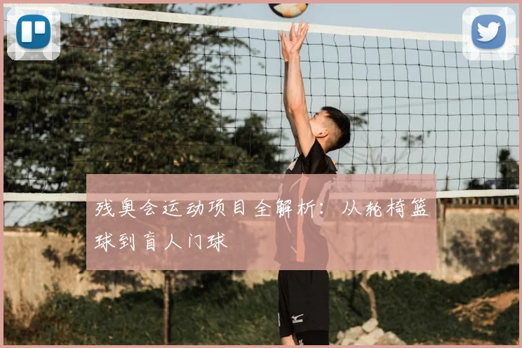 残奥会运动项目全解析：从轮椅篮球到盲人门球