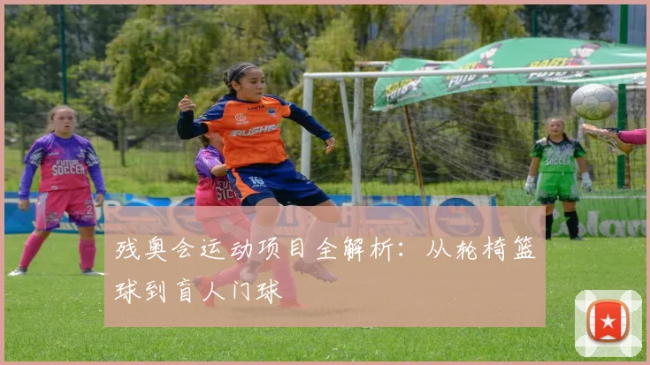 残奥会运动项目全解析：从轮椅篮球到盲人门球