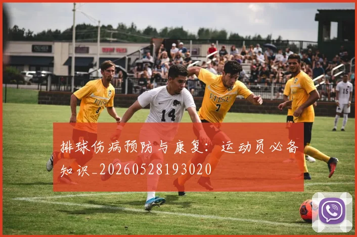 排球伤病预防与康复：运动员必备知识_20260528193020